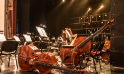 musical-instruments