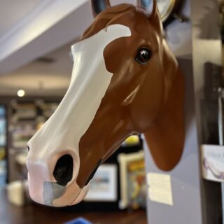 Apache Cat Wall Hanging Horse Head