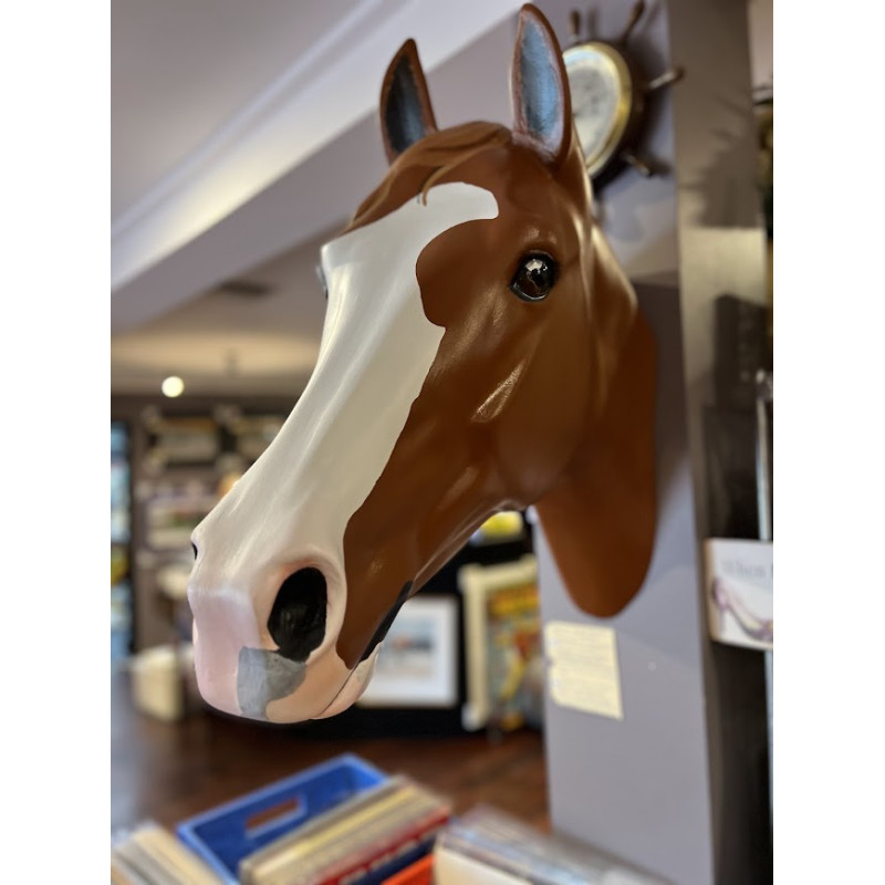 Apache Cat Wall Hanging Horse Head