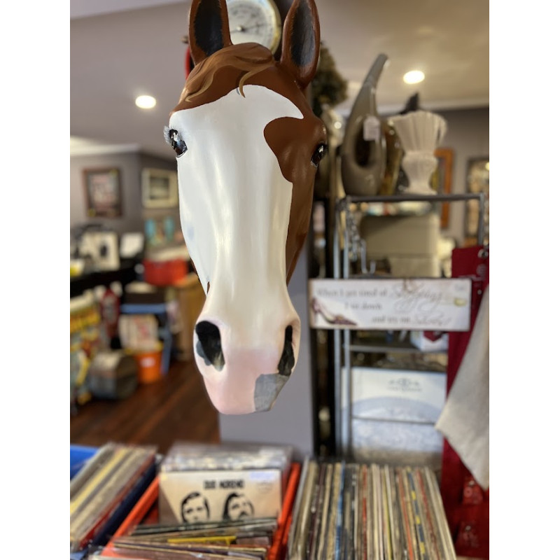 Apache Cat Wall Hanging Horse Head