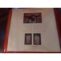 Mick Fleetwood – The Vistor