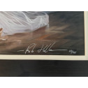 Rob Hefferan – Framed Picture “Light Through The Curtain”