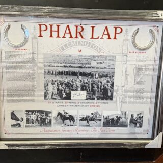 Framed Phar Lap Flemington Melbourne