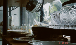 Untitled design (13)