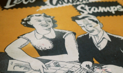 Untitled design (17)