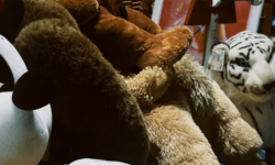 Untitled design (22)