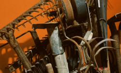 Untitled design (24)