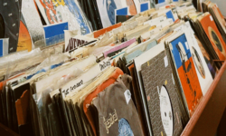 Untitled design (42)