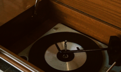 Untitled design (44)