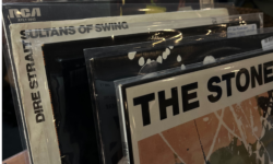 Untitled design (45)