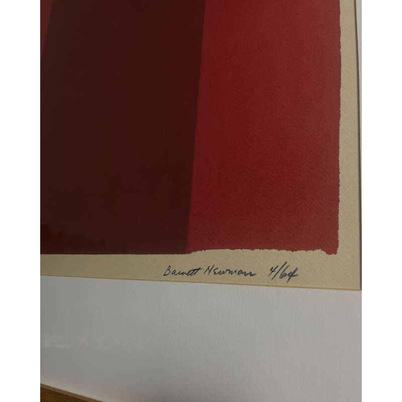 Untitled design (95)