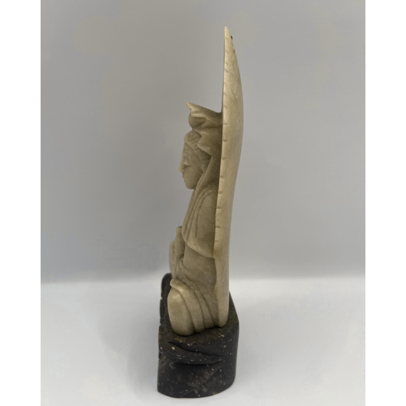 Untitled design - 2026-05-28T124502.305