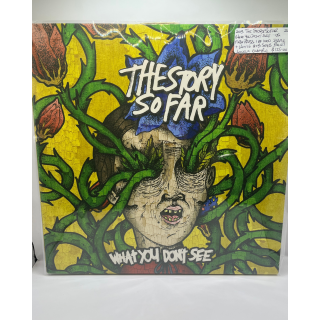 2013 The Story So Far 'What Don't You See'