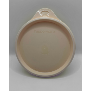 Orange Tupperware Container NEW