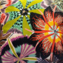 Untitled design - 2026-06-30T115215.042