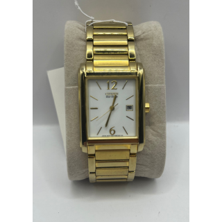 Citizen ELO Drive 670220 Watch